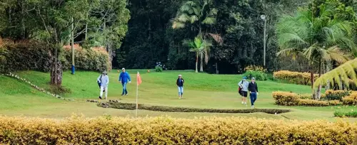 Imagen de Campo de Golf Fizebad <br>El Retiro