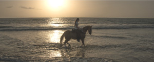 Cabalgata por la Playa Cartagena
